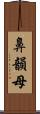 鼻韻母 Scroll