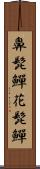鼻髭鱓 Scroll
