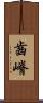 齒嵴 Scroll