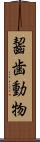齧歯動物 Scroll