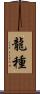 龍種 Scroll