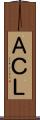 ＡＣＬ Scroll