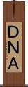 ＤＮＡ Scroll
