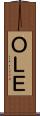 ＯＬＥ Scroll