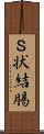 Ｓ状結腸 Scroll