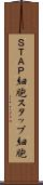 ＳＴＡＰ細胞 Scroll