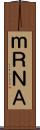 ｍＲＮＡ Scroll