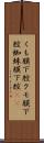 くも膜下腔 Scroll