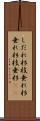 しだれ杉 Scroll