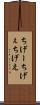 ちげー Scroll