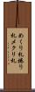 めくり札 Scroll