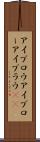 アイブロウ Scroll