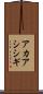 アカアシシギ Scroll