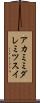 アカミミダレミツスイ Scroll
