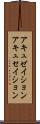 アキュゼイション Scroll