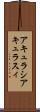 アキュラシ Scroll