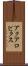 アクアロビクス Scroll