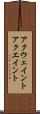 アクウェイント Scroll