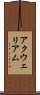 アクウェリアム Scroll