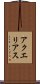 アクエリアス Scroll