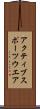 アクティブスポーツウエア Scroll