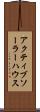 アクティブソーラーハウス Scroll