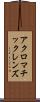 アクロマチックレンズ Scroll