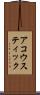 アコウスティック Scroll