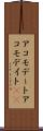 アコモデート Scroll