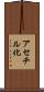 アセチル化 Scroll