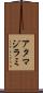アタマジラミ Scroll