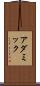 アダミック Scroll