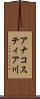 アナコスティア川 Scroll