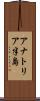 アナトリア半島 Scroll