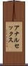アナルセックス Scroll