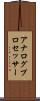 アナログ・プロセッサー Scroll