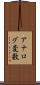 アナログ変数 Scroll