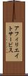 アフィリエイトサービス Scroll