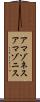 アマゾネス Scroll