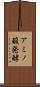 アミノ酸発酵 Scroll
