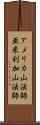 アメリカ山法師 Scroll