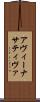 アヴィーナサティヴァ Scroll