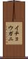 イチョウガニ Scroll