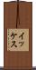 イッケス Scroll