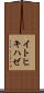 イトヒキハゼ Scroll