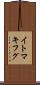 イトマキフグ Scroll