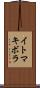イトマキボラ Scroll