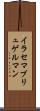 イラセマブリュゲルマン Scroll