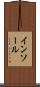 インソール Scroll