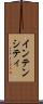 インテンシティ Scroll